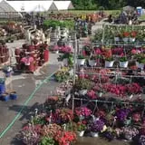 Warmbier Farms photo