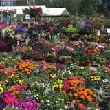 Warmbier Farms photo
