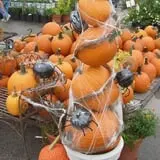 Warmbier Farms photo