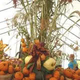 Warmbier Farms photo