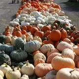 Warmbier Farms photo