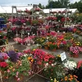 Warmbier Farms photo