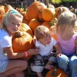 Warmbier Farms photo