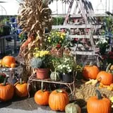 Warmbier Farms photo