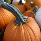Warmbier Farms photo
