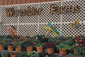 Warmbier Farms