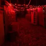 The Haunted Acres photo