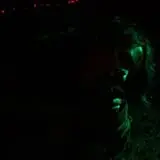 The Haunted Acres photo