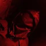 The Haunted Acres photo