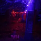 The Haunted Acres photo