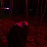 The Haunted Acres photo