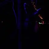 The Haunted Acres photo