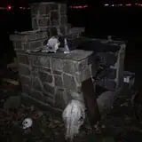 The Haunted Acres photo