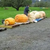 The Farm at Swan's Trail photo
