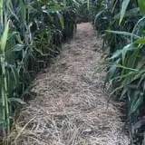 The Farm at Swan's Trail photo