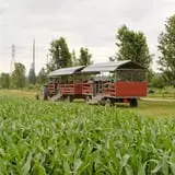 The Farm at Swan's Trail photo