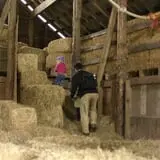 The Farm at Swan's Trail photo
