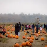 The Farm at Swan's Trail photo