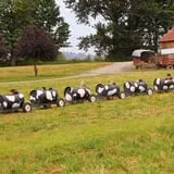 The Farm at Swan's Trail photo