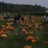 The Farm at Swan's Trail photo
