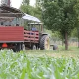 The Farm at Swan's Trail photo