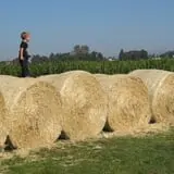 The Farm at Swan's Trail photo