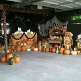 Pumpkin Hollow Nickerson photo