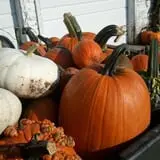 Pumpkin Hollow Nickerson photo