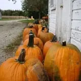 Pumpkin Hollow Nickerson photo
