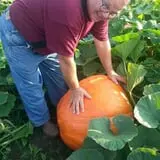 Pumpkin Hollow Nickerson photo