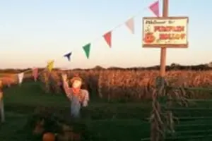 Pumpkin Hollow Nickerson