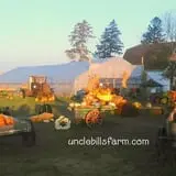 Uncle Bill's Farm photo