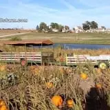 Uncle Bill's Farm photo