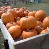 Uncle Bill's Farm photo