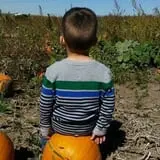 Uncle Bill's Farm photo
