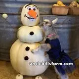 Uncle Bill's Farm photo