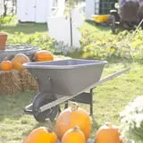 Uncle Bill's Farm photo
