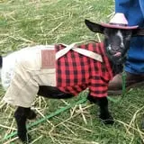 Uncle Bill's Farm photo