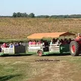 Uncle Bill's Farm photo