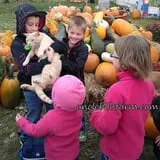 Uncle Bill's Farm photo