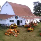 Uncle Bill's Farm photo