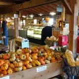 Uncle Bill's Farm photo
