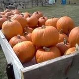 Uncle Bill's Farm photo
