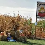 Uncle Bill's Farm photo