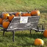 Uncle Bill's Farm photo