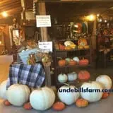 Uncle Bill's Farm photo