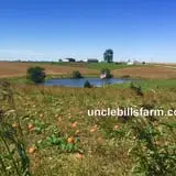Uncle Bill's Farm photo