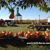 Uncle Bill's Farm photo