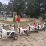 Corndodgers Farm  photo