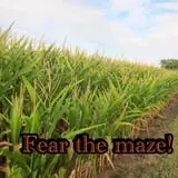 Corndodgers Farm  photo